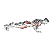 Spider Crawl Push Up animated exercise demonstration