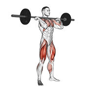 Squat Jerk animated exercise demonstration
