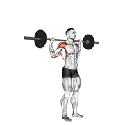 Standing Behind Neck Press animated exercise demonstration