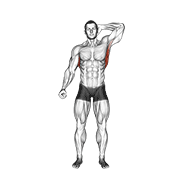 Standing Lateral Stretch animated exercise demonstration