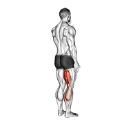 Standing Single Leg Curl animated exercise demonstration