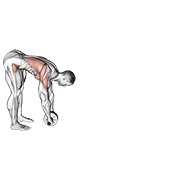 Standing Wheel Rollerout animated exercise demonstration