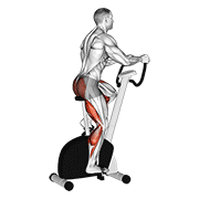 Stationary Bike Walk animated exercise demonstration