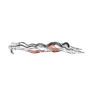 Superman Push-Up animated exercise demonstration