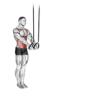 Suspended Abdominal Fallout animated exercise demonstration