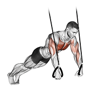 Suspended Push-Up animated exercise demonstration