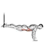 Suspended Reverse Crunch animated exercise demonstration