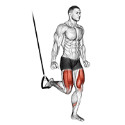 Suspended Split Squat animated exercise demonstration