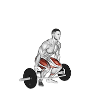 Trap Bar Deadlift animated exercise demonstration