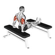 Triceps Dip (Bench Leg) animated exercise demonstration