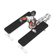 Triceps Dip (Between Benches) animated exercise demonstration