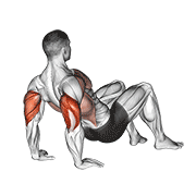 Triceps Dips Floor animated exercise demonstration