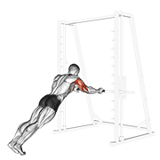 Triceps Press animated exercise demonstration