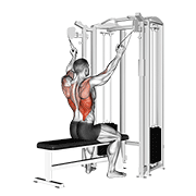 Twin Handle Parallel Grip Lat Pulldown animated exercise demonstration