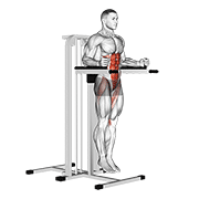 Vertical Leg Raise (On Parallel Bars) animated exercise demonstration