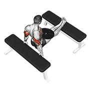 Weighted Bench Dip animated exercise demonstration