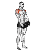 Weighted Front Raise animated exercise demonstration