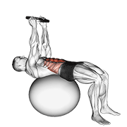 Weighted Overhead Crunch (On Stability Ball) animated exercise demonstration