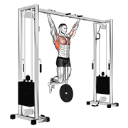 Weighted Pull-Up animated exercise demonstration