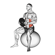 Weighted Seated Twist (On Stability Ball) animated exercise demonstration