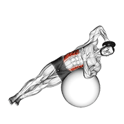 Weighted Side Bend (On Stability Ball) animated exercise demonstration