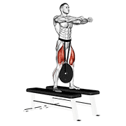 Weighted Squat animated exercise demonstration