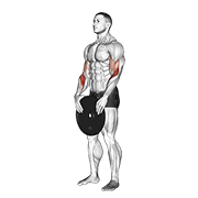 Weighted Standing Curl animated exercise demonstration