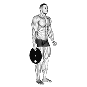 Weighted Standing Hand Squeeze animated exercise demonstration