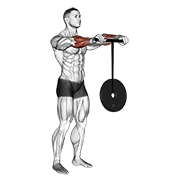 Wrist Rollerer animated exercise demonstration