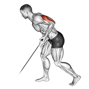 Cable Kickback animated exercise demonstration