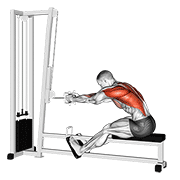 Seated cable row demonstration pulling close-grip handle smoothly toward lower ribs with controlled upright torso