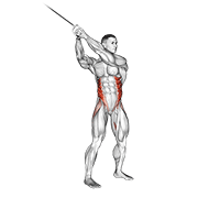 Cable Twist (Up-Down) animated exercise demonstration