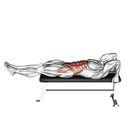Lying Leg-Hip Raise animated exercise demonstration