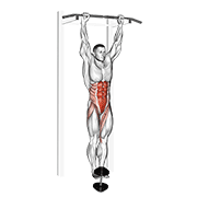 Weighted Hanging Leg-Hip Raise animated exercise demonstration