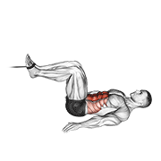 Cable Reverse Crunch animated exercise demonstration