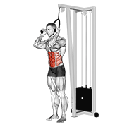 Cable Standing Crunch (With Rope Attachment) animated exercise demonstration