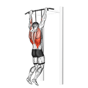 Band Assisted Pull-Up animated exercise demonstration