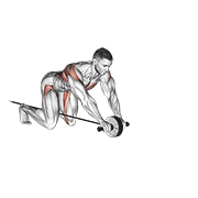 Band Assisted Wheel Rollerout animated exercise demonstration
