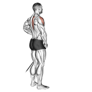 Band Front Lateral Raise animated exercise demonstration