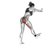 Band Bent-Over Hip Extension animated exercise demonstration