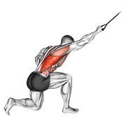 Band Kneeling One Arm Pulldown animated exercise demonstration