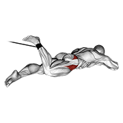 Band Lying Hip Internal Rotation animated exercise demonstration