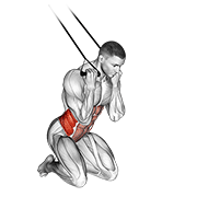 Band Kneeling Twisting Crunch animated exercise demonstration