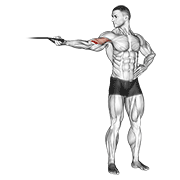 Band One Arm Overhead Biceps Curl animated exercise demonstration
