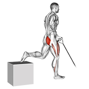Band One Arm Single Leg Split Squat animated exercise demonstration