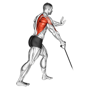 Band One Arm Standing Low Row animated exercise demonstration