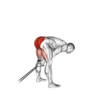 Band Pull Through animated exercise demonstration