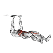 Band Push Sit-Up animated exercise demonstration