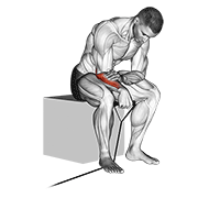 Band Reverse Wrist Curl animated exercise demonstration