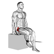 Band Seated Hip Internal Rotation animated exercise demonstration